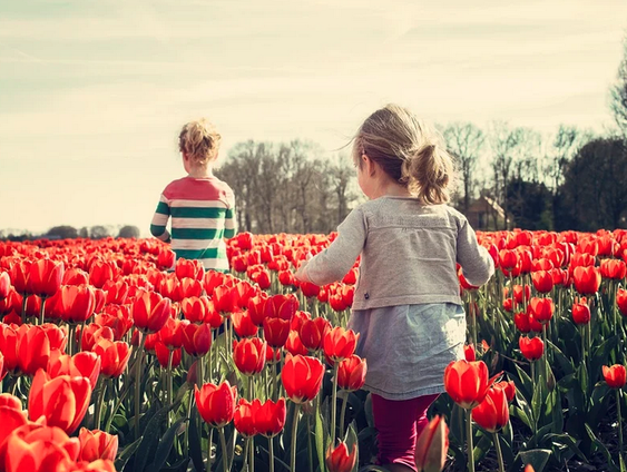 Laat de echte lente maar komen