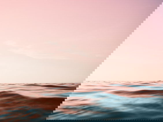 Meertje op Texel kleurt weer roze!