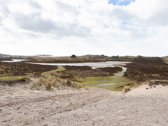 Samuelle van Deutekom van Staatsbosbeheer Schoorl over de verkiezing van De Leukste Hond van Noord-Holland!