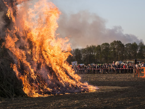 De bult voor het paasvuur in Elsloo groeit