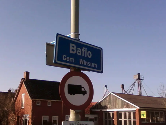 De dorpsgek van Baflo