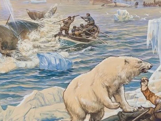 De roemruchte walvisvaart van Ameland