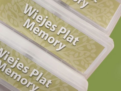 In Wijhe spelen ze nu memory met hun eigen dialect