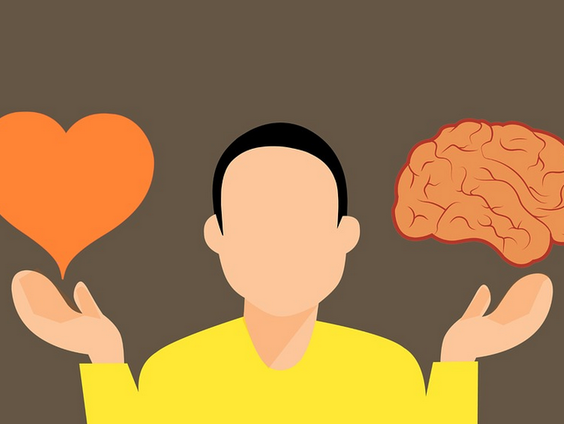 Je hart volgen of je verstand