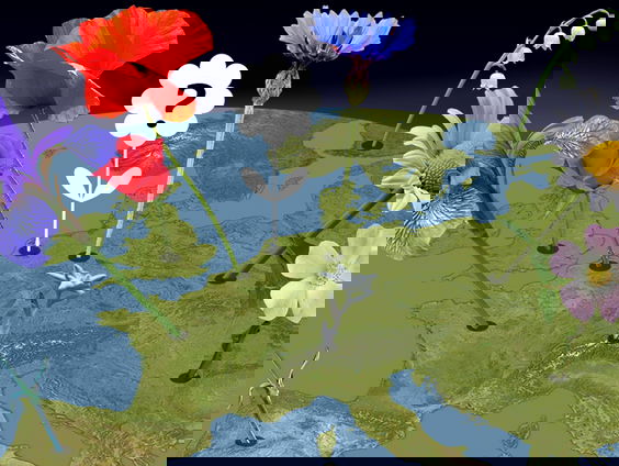 Nationale Bloem Verkiezing van start!