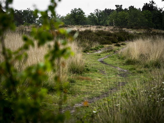 Geopad Verheven Peel: fietsend langs Peelrandbreuk en hoogveen