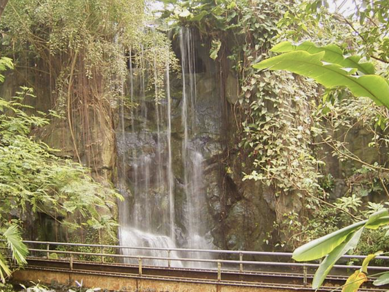 Grote plannen voor Burgers Zoo