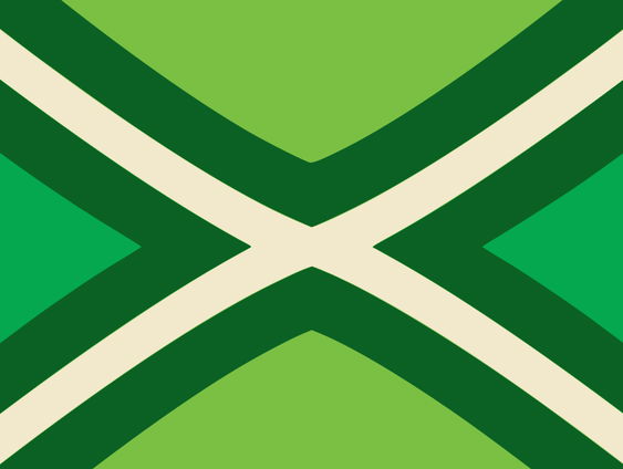 Wat zien we nu eigenlijk op de vlag van de Achterhoek?