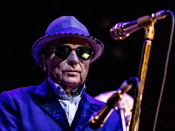 Welke parel van Van Morrison kiest Iris?