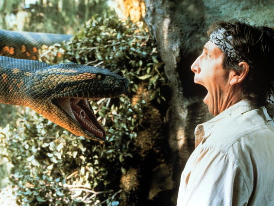 Nieuwe Anaconda gevonden. Hoe kan dat nou?