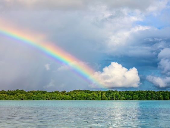 Kijk naar de regenboog
