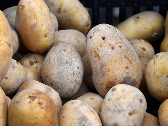 Wim Bosch heeft de langste