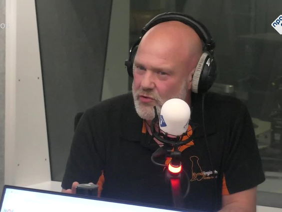 Waar moet je op letten als je een hond wil nemen?