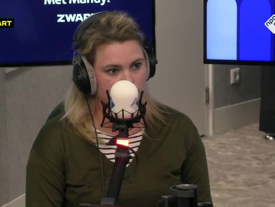 Hoe staat het met de re-integratie van ex-gedetineerden in Nederland?