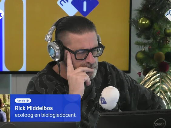 Huisvriend Rick Middelbos over de uitstervende blauwe kiekendief