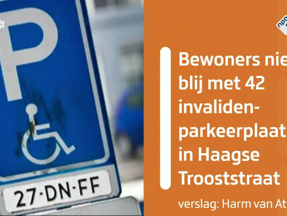 Veertig invalide parkeerplaatsen in één straat: bewoners denken fraude