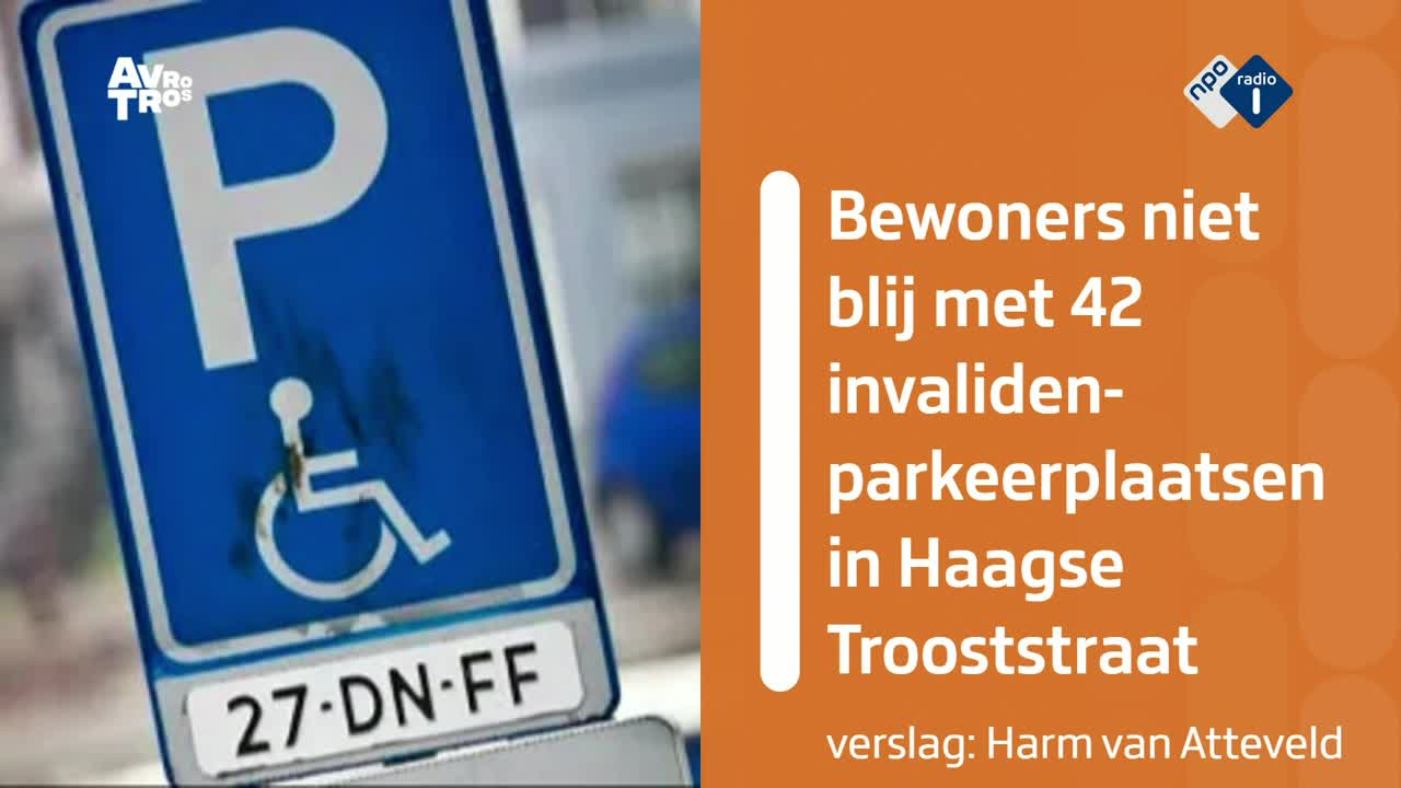 Veertig invalide parkeerplaatsen in één straat: bewoners denken fraude