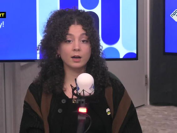 Google Calendar verwijdert Pride en Black History Month, maar waarom?