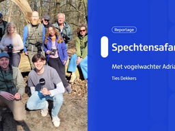 Op spechtensafari met vogelwachter Adriaan