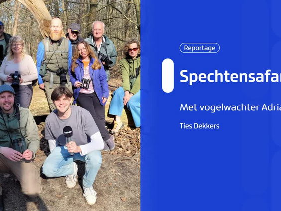 Op spechtensafari met vogelwachter Adriaan