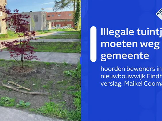 Een zelfgemaakt tuintje? In Eindhoven moesten bewoners die gewoon weer weghalen