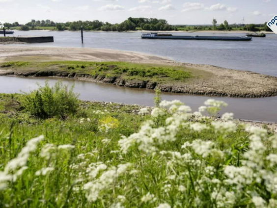 Natuurfotograaf graaft speciekuipen met water in de natuur voor dieren