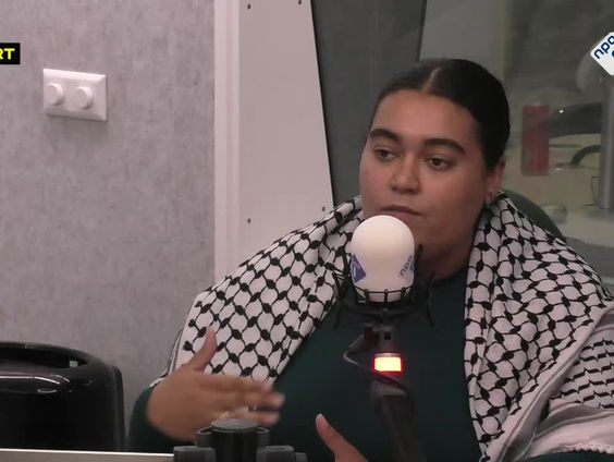 De afbraak van de democratie in Nederland