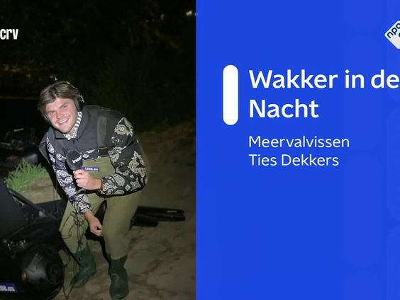 Meervalvissen: "Het is een way of life, mijn vrouw wordt er gek van"