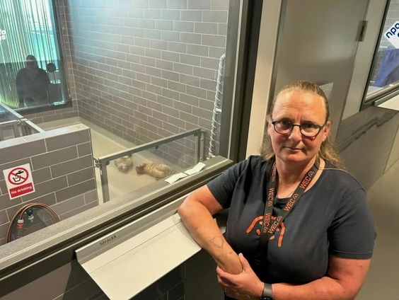 Eerste pup binnen bij splinternieuwe zeehondenopvang WEC in Lauwersoog