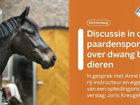 Discussie in de paardensport over dwang bij dieren