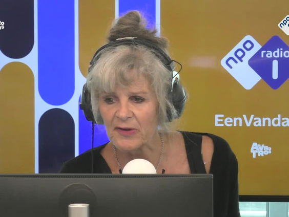 Misleiding en nepartikelen bij veilingsite Catawiki