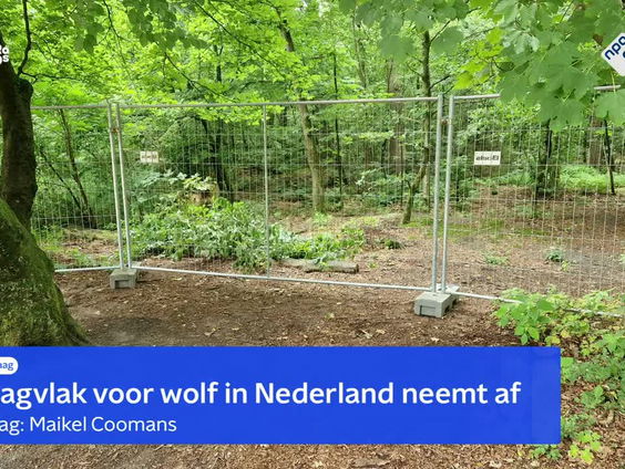 Ondernemers Utrechtse Heuvelrug hebben het zwaar door de wolf