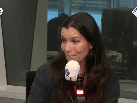 'Doe maar gewoon dan doe je al gek genoeg' - fascisme op het Binnenhof