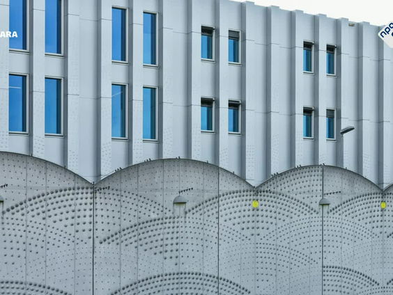 Tina Farifteh brengt asiel in beeld: wat vertelt het asielsysteem over Nederland?