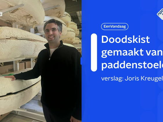 Bob Hendrikx werkt aan doodskisten van paddenstoelen: 'Enige in de wereld die iets goeds doet voor gelief ...