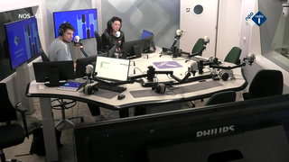 Mick van Wely schrijft boek over kunstroven