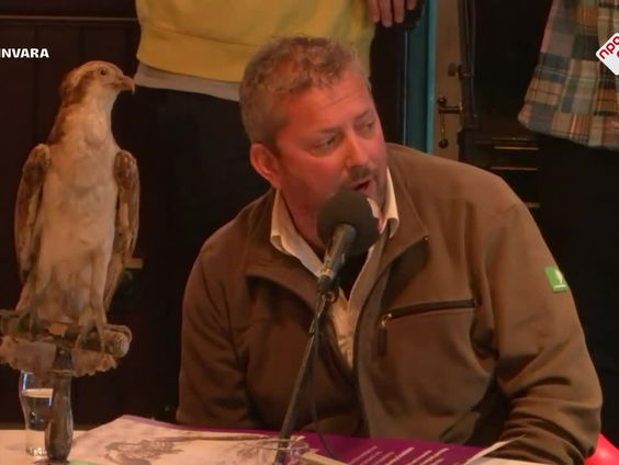 In de Biesbosch is het leven van de visarend veranderd in een ware soapserie.