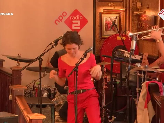 Jungle By Night Ft. Pitou - Dive - live @ Spijkers met Koppen