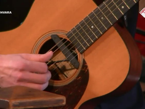 Bente - Wacht Even - Live bij Spijkers met Koppen