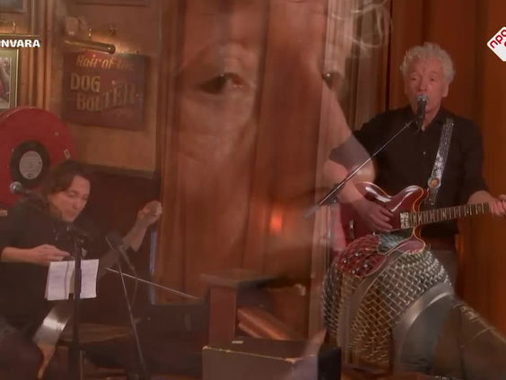 Spinvis - Ik Wil Alleen Maar Zwemmen