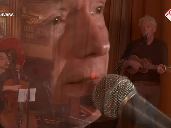 Spinvis - De Laatste Kerstboom