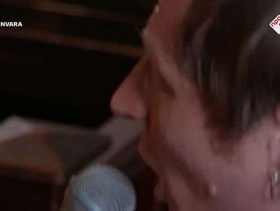 Lucky Fonz III - Paarden - live bij Spijkers met Koppen